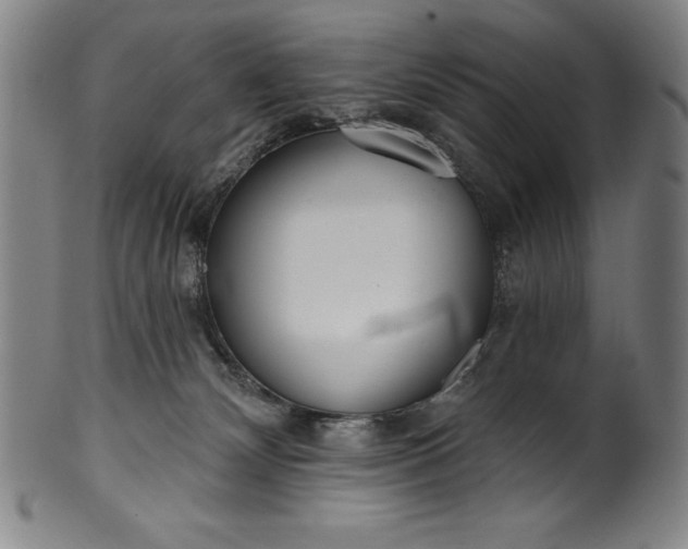 X0000099970132200806061639