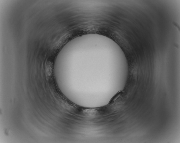 X0000099970133200806061639