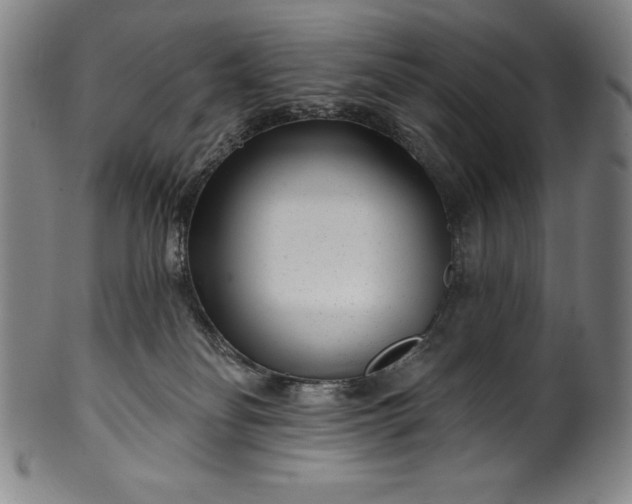 X0000099970134200806061639