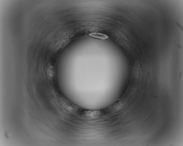 X0000099970135200806061639