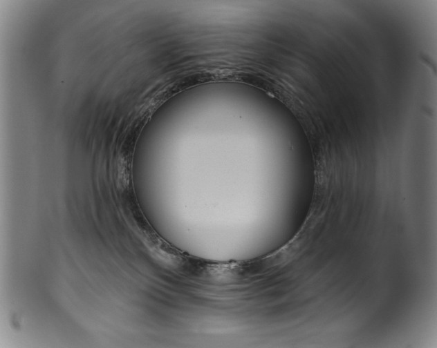 X0000099970136200806061639