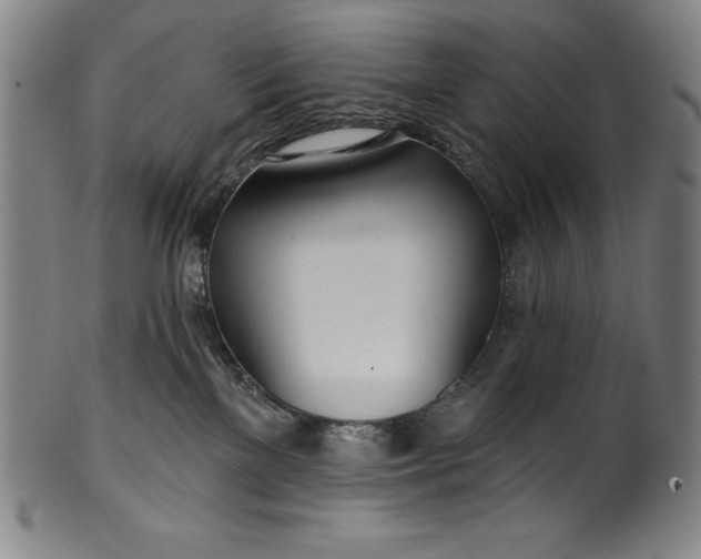 X0000099970137200806061639