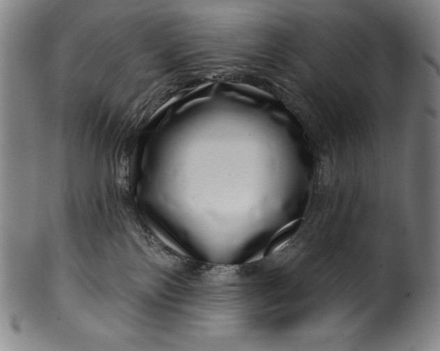 X0000099970138200806061639