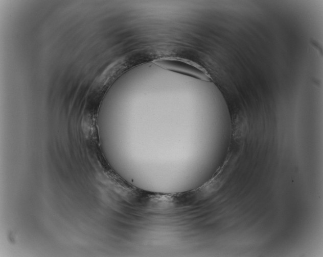 X0000099970140200806061638