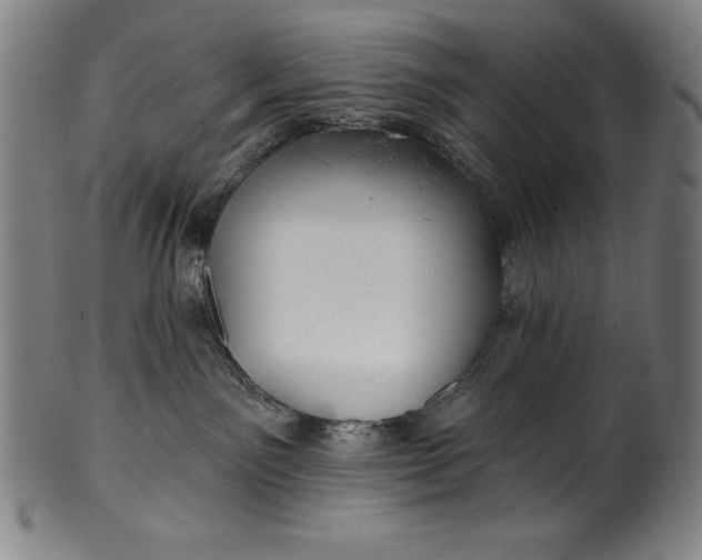 X0000099970141200806061638