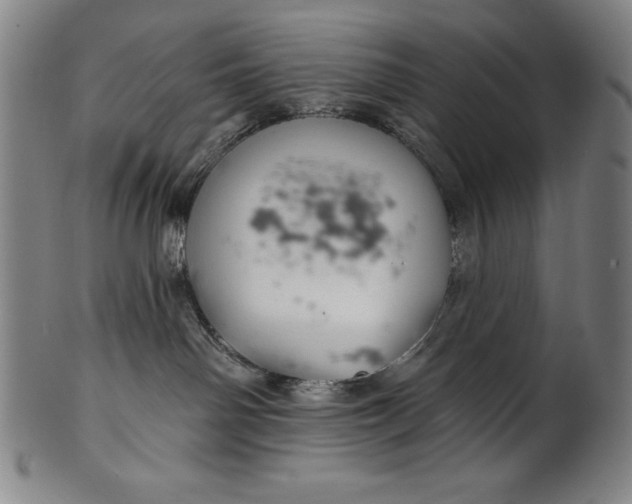 X0000099970142200806061638