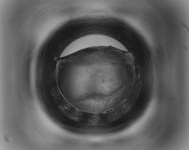 X0000099970143200806061638