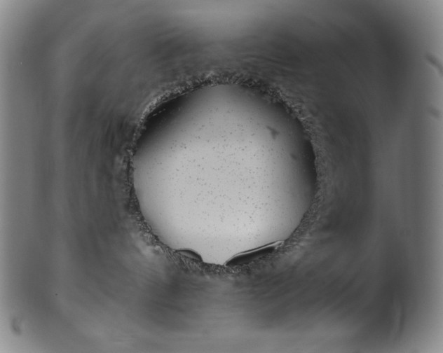 X0000099970144200806061638