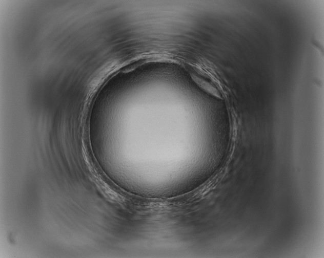 X0000099970145200806061638