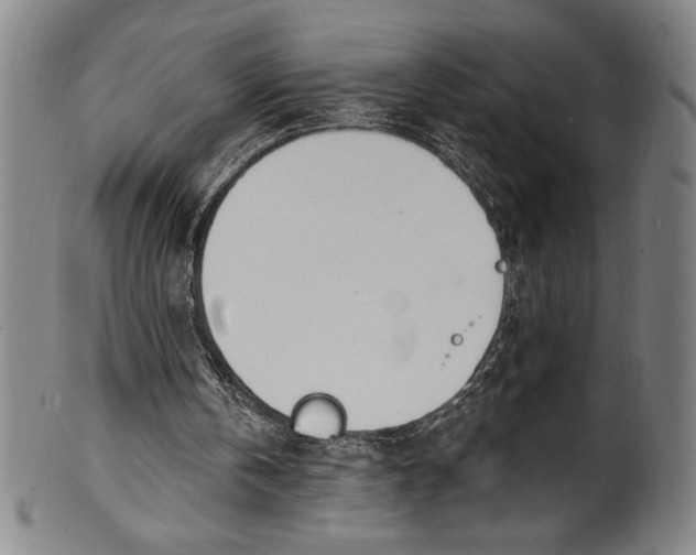 X0000099970146200806061638