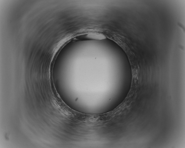 X0000099970148200806061638