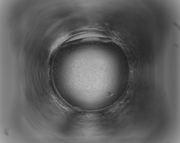 X0000099970149200806061638