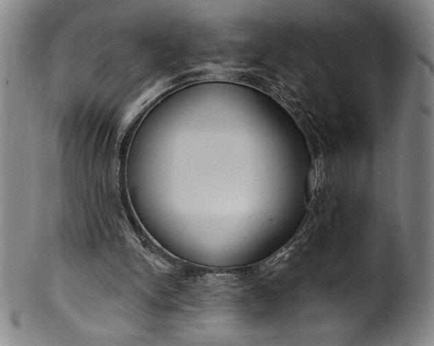 X0000099970150200806061638