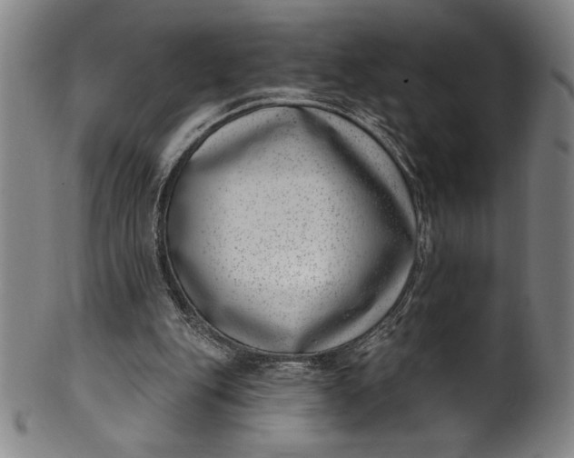 X0000099970151200806061638