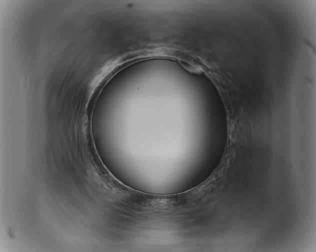 X0000099970152200806061638