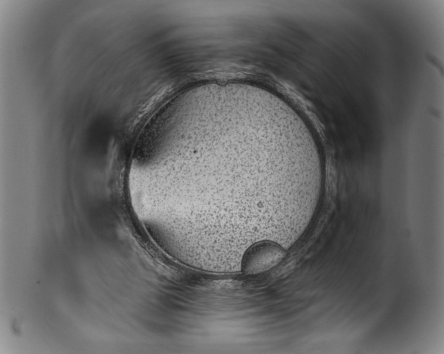 X0000099970153200806061638