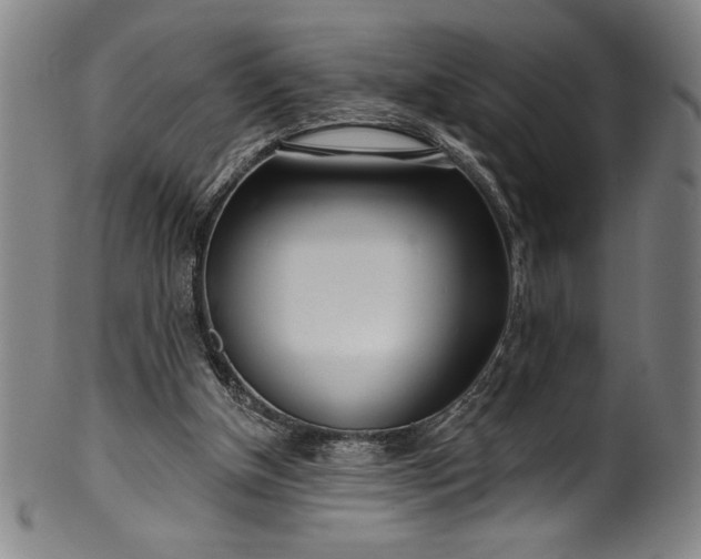 X0000099970154200806061638