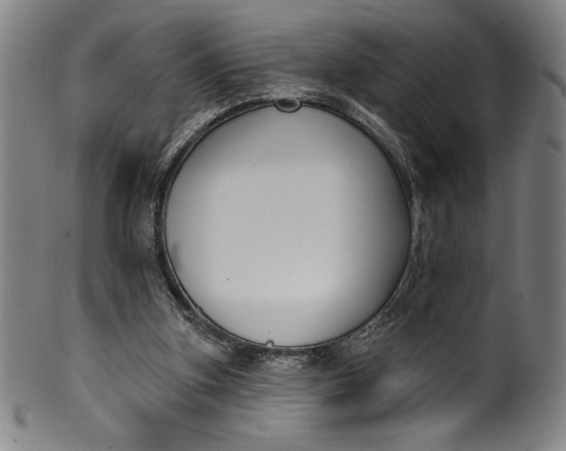 X0000099970155200806061638