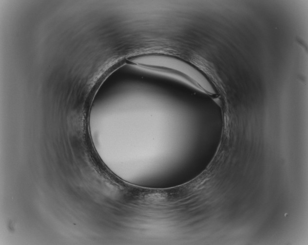 X0000099970156200806061638