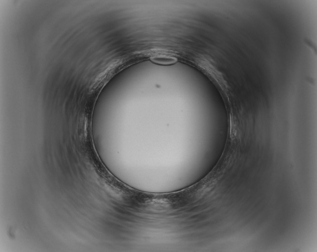 X0000099970157200806061638