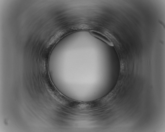 X0000099970158200806061638