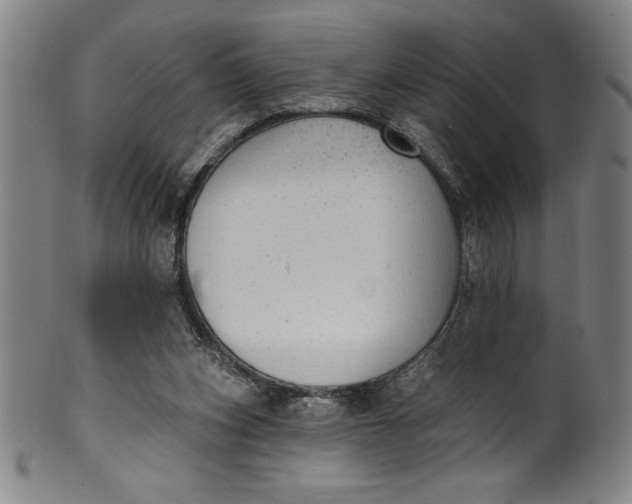 X0000099970159200806061638