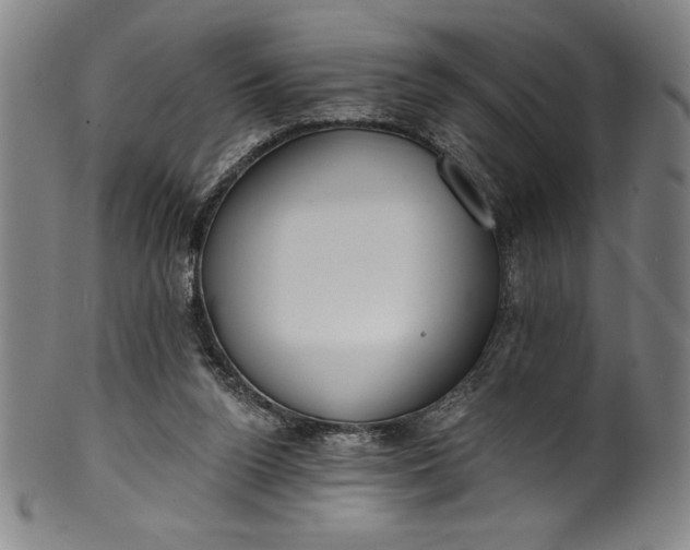 X0000099970160200806061638