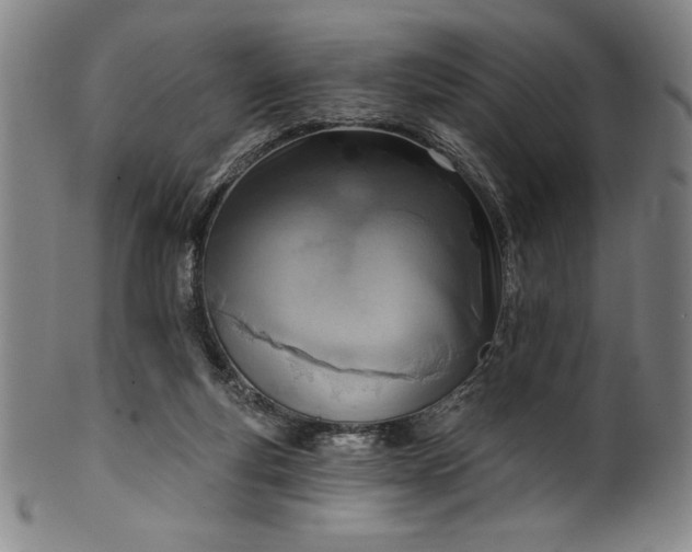 X0000099970163200806061638