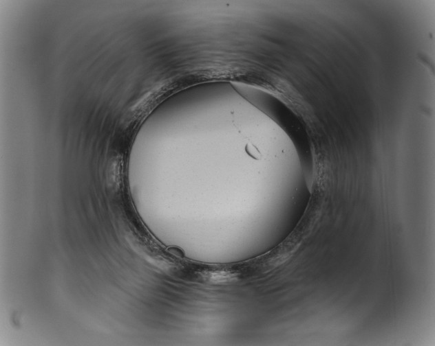 X0000099970165200806061638