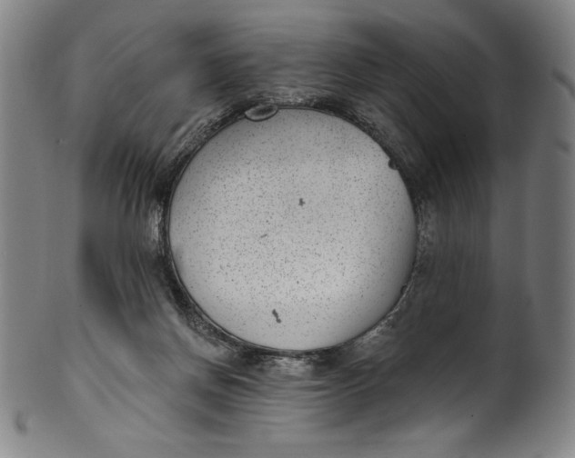 X0000099970166200806061638