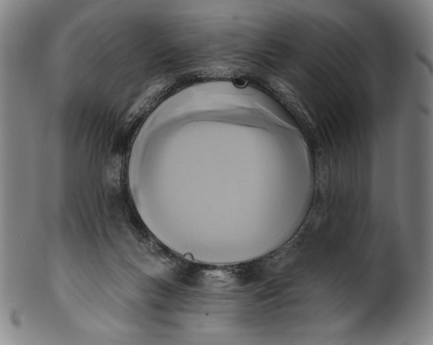 X0000099970167200806061638