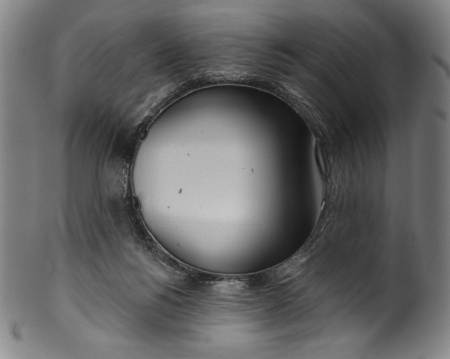 X0000099970168200806061638