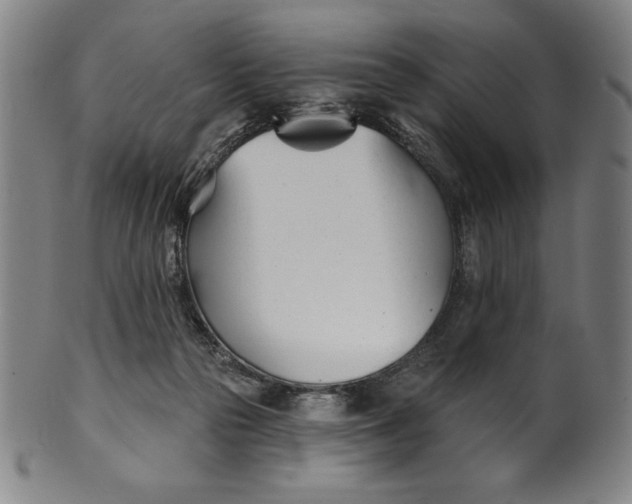 X0000099970169200806061638