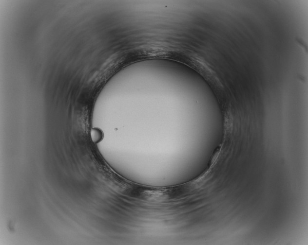 X0000099970170200806061638