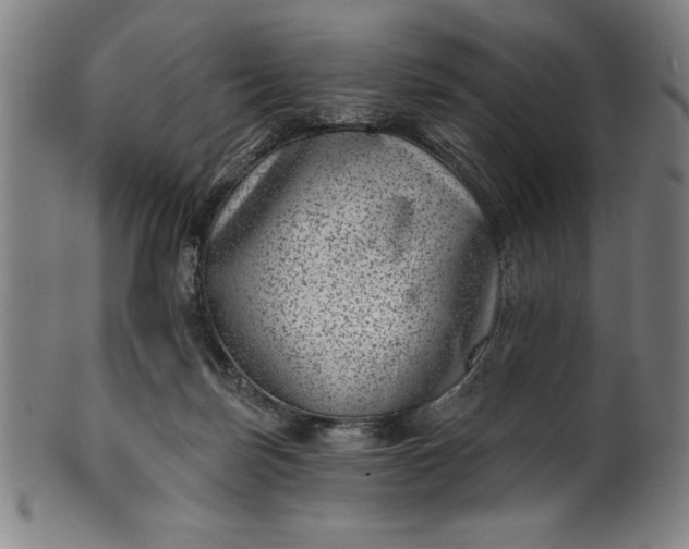 X0000099970171200806061638