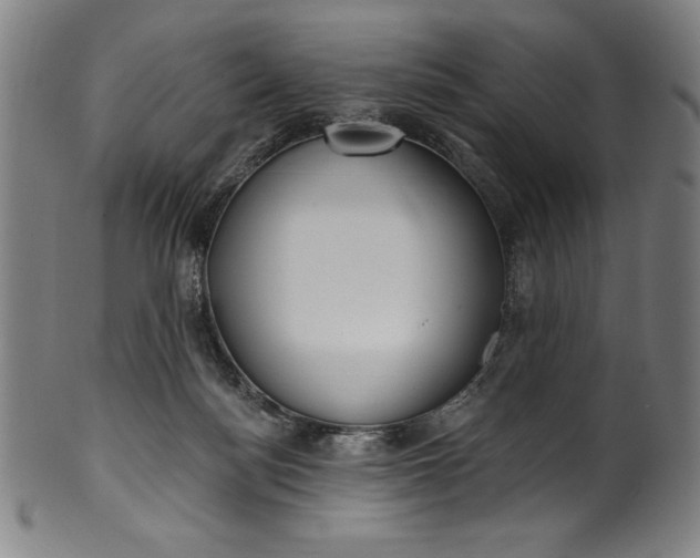 X0000099970172200806061638