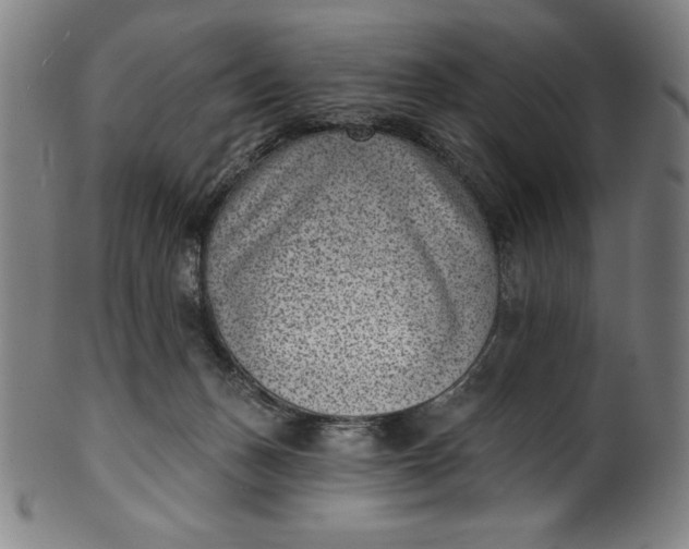 X0000099970175200806061638