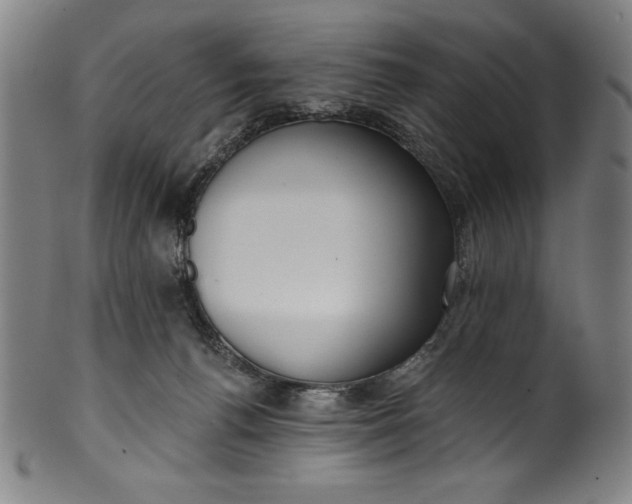 X0000099970176200806061638