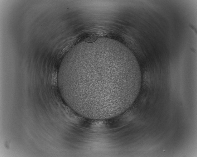 X0000099970177200806061638