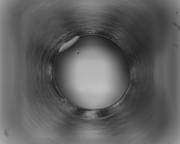 X0000099970178200806061638