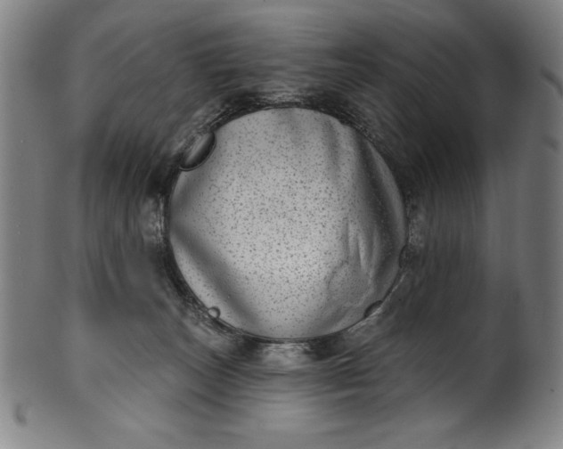 X0000099970179200806061638