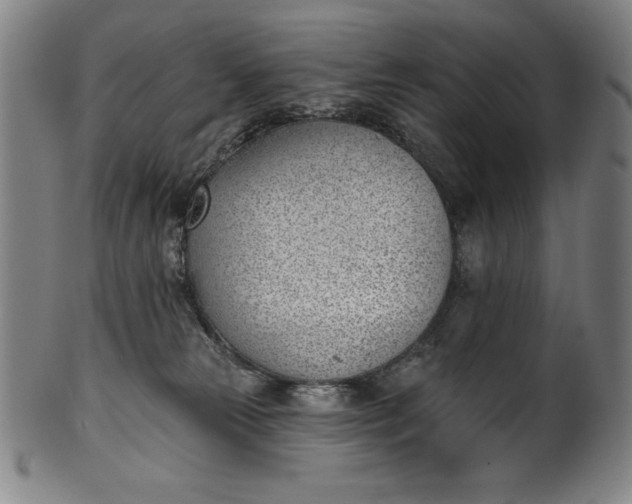 X0000099970181200806061638