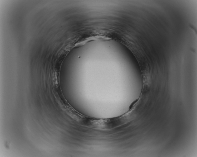 X0000099970182200806061638