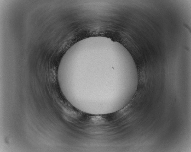 X0000099970183200806061638