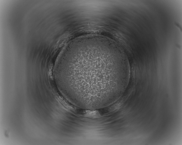 X0000099970185200806061638