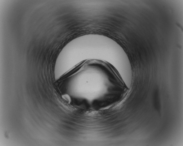 X0000099970186200806061638