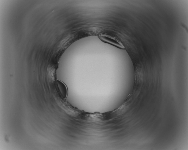 X0000099970188200806061638