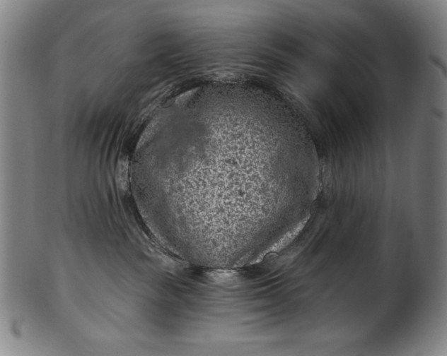 X0000099970189200806061638