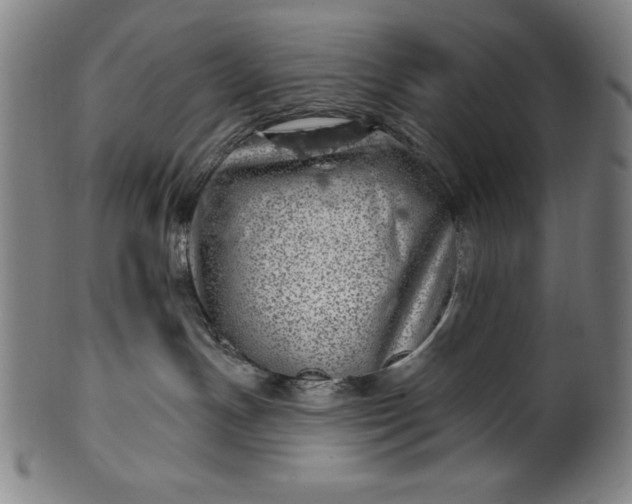 X0000099970191200806061638