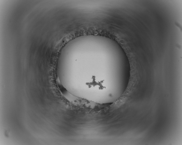 X0000099970192200806061638